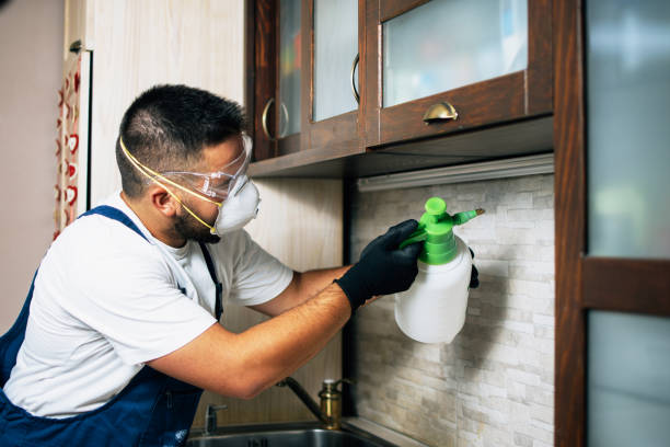 Best Best Pest Control Companies  in Tariffville, CT
