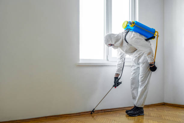 Best Commercial Pest Control Services  in Tariffville, CT