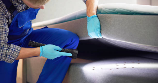 Best Bed Bug Extermination  in Tariffville, CT