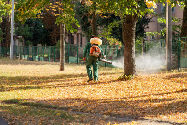 Best Mosquito Control Services  in Tariffville, CT