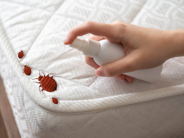 Best Commercial Pest Control Services  in Tariffville, CT