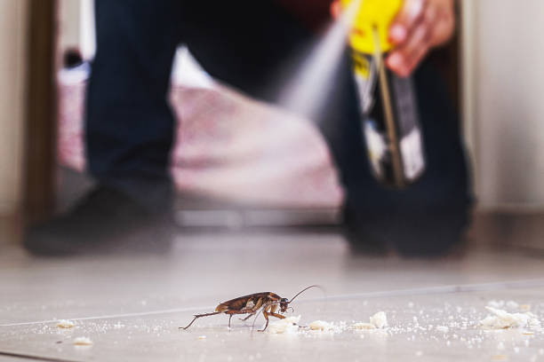 Best Residential Pest Control  in Tariffville, CT